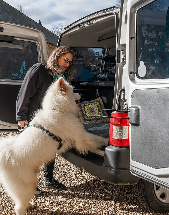 Service de taxi pour animaux de compagnie par Manon, pet sitter à Rouen